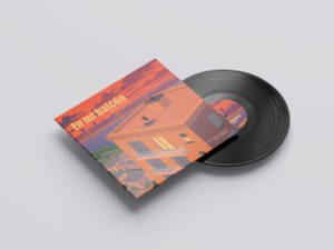 Vinilo